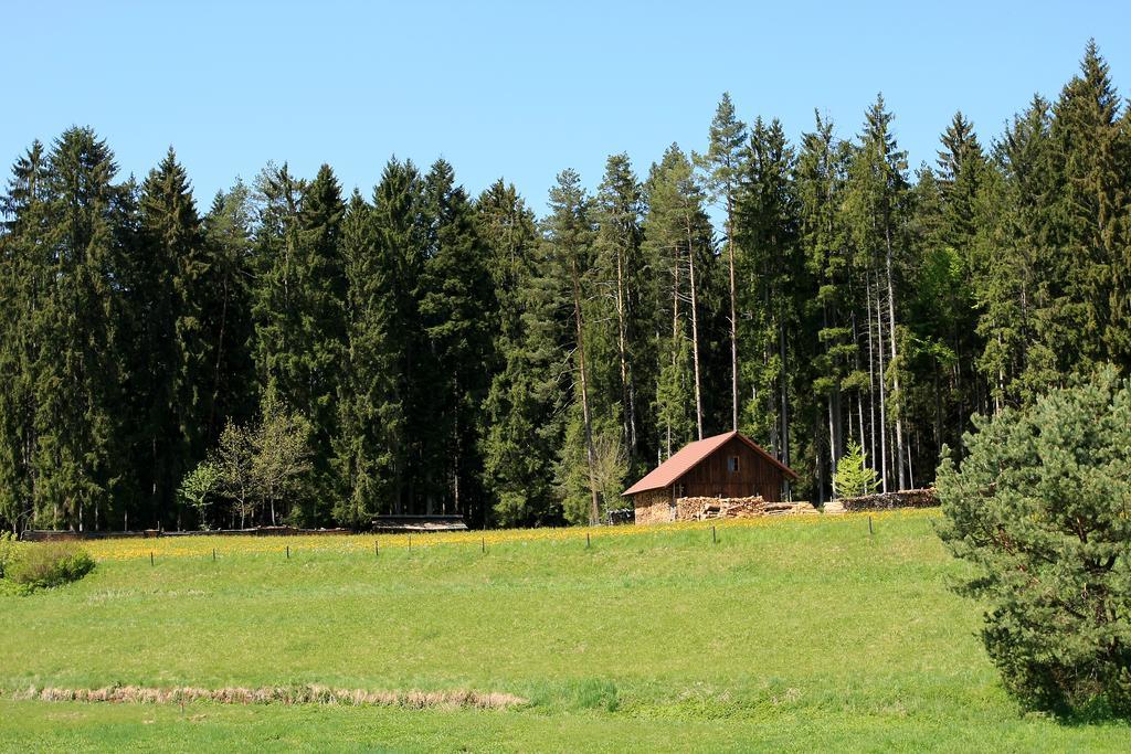 Gaestehaus Schmid-Lopez บาดวิลด์บาด ภายนอก รูปภาพ
